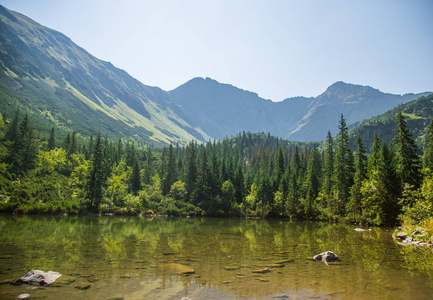 一个美丽, 干净的湖泊在山谷中平静, 晴朗的一天。山风景与水在夏天。塔特拉山脉在斯洛伐克, 欧洲
