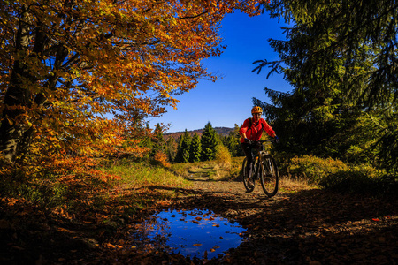 骑自行车，在秋天的树林中的小周期路上山骑自行车女人