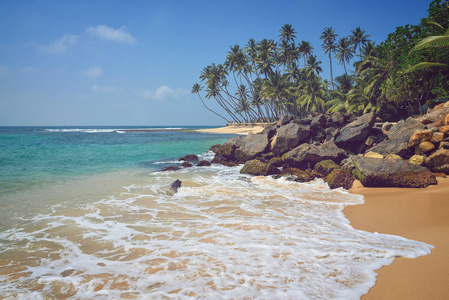 在斯里兰卡的热带海滩