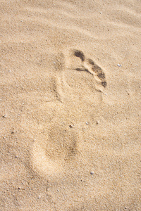 在沙中的足迹。沙丘 富埃特文图拉