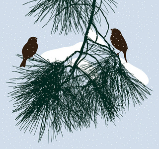 鸟儿在冬日里坐在松树枝上