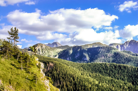 Tatra 山脉和森林, 鸟瞰图