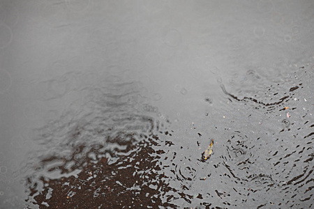 秋天背景雨在公园里