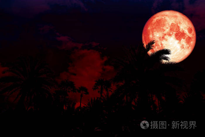 全红血月背剪影在远古的棕榈夜红色的天空 这张图片的元素由 nasa