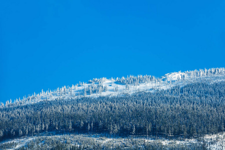 捷克共和国巨人山区雪的冬天