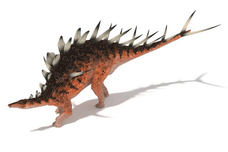 centrosaurus 在白色背景3d 图上的角度集