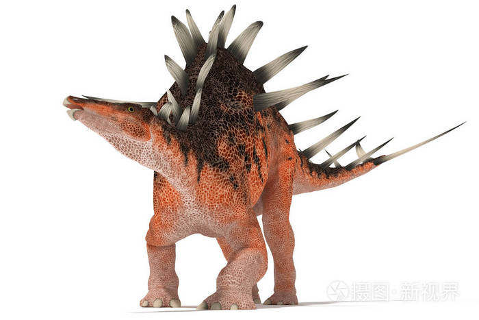 centrosaurus 在白色背景3d 图上的角度集