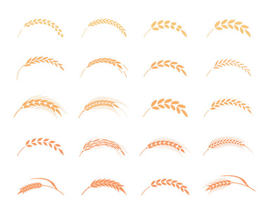小麦幼穗或水稻图标集