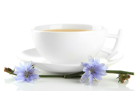 喝杯茶与菊苣，孤立在白色