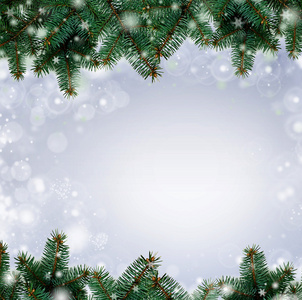 圣诞节树分支边界 与样品的白色背景