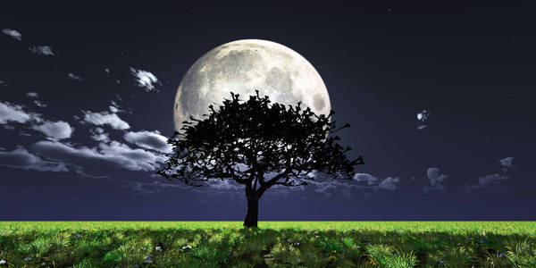 树夜满月