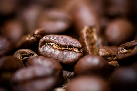 宏的芳香生物咖啡的咖啡豆细节
