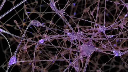 3d. 神经元细胞和突触网络的渲染, 在人脑中信息传递过程中电脉冲和放电通过