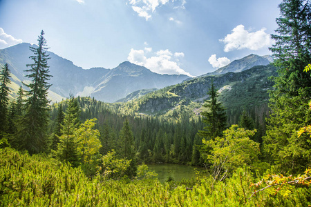 一个美丽, 干净的湖泊在山谷中平静, 晴朗的一天。山风景与水在夏天。塔特拉山脉在斯洛伐克, 欧洲