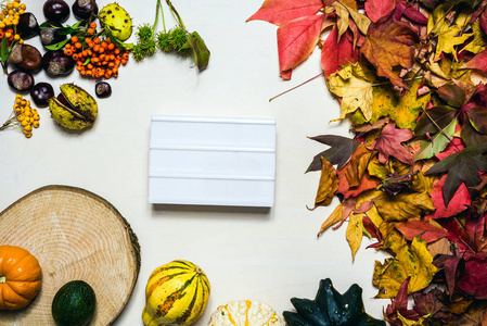 穆迪秋季背景图片与五颜六色的叶子, 南瓜, 栗子白色空白灯箱与可用空间作为模板的消息