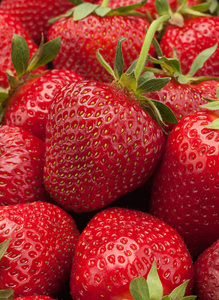 草莓果实背景