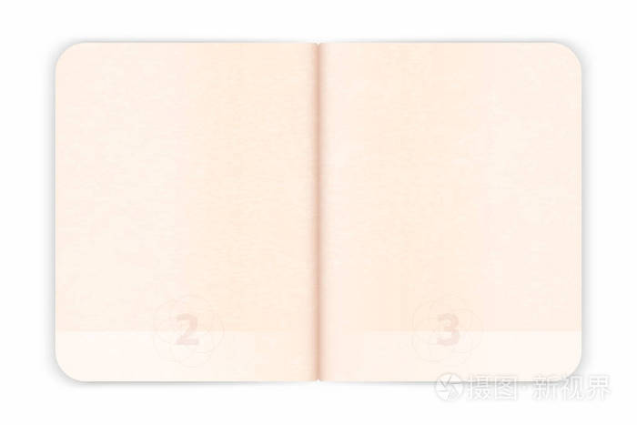 证件护照空白页为签证邮票。带水印的空护照