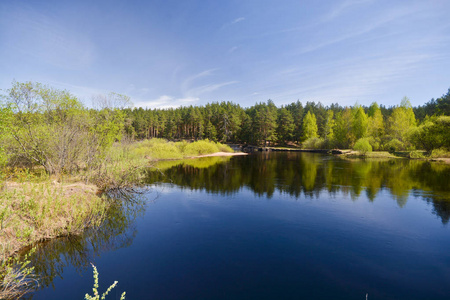 俄罗斯国家公园的森林河流是春天