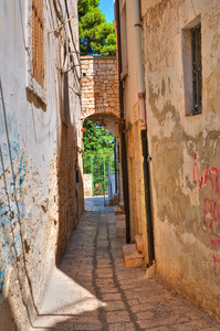 小巷。孔韦尔萨诺。普利亚大区。意大利