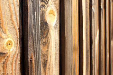 木质原木的背景。木板的质地。松树的自然图案。简约风格的设计师空白
