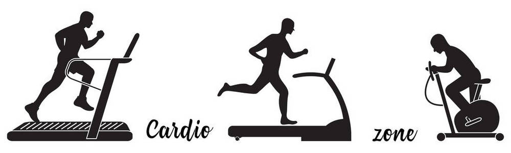 健身和运动的时间。健康的生活方式。参与体育运动的人。跑步机, 运动自行车