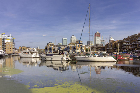 停泊在莱姆豪斯盆地码头的船只和游艇, 靠近金丝雀码头河畔, 英国, 伦敦市