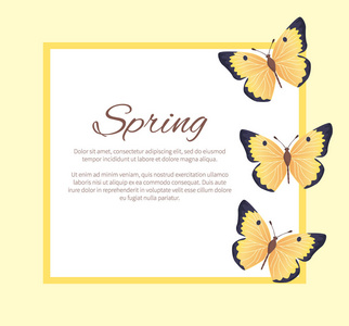 画框彩色蝴蝶的春季海报