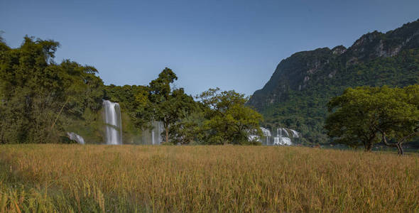 Gioc 瀑布德天瀑布坂 Gioc 瀑布是越南最壮观的瀑布, 位于大坝翠公社, Trung 庆区, 曹浜