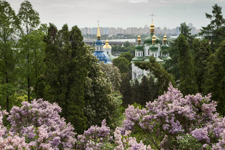 用丁香盛开在植物园在基辅，乌克兰的 Vydubychi 修道院和 Dnipro 河泉景观