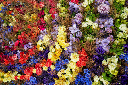 五颜六色的夏日花朵背景。顶部视图