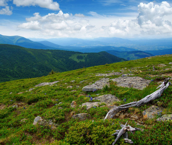 在夏天山风景