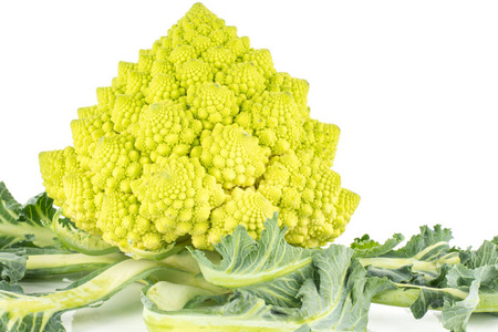 Romanesco 花椰菜或花椰菜被隔绝在白色背景一绿色分形头与事假