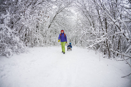 一个女人背着一个孩子在雪橇上。妈妈和她的儿子在雪地小道上散步。愉快的寒假。冬天的乐趣。婴儿在雪橇上