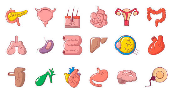人体内部器官图标集, 卡通风格
