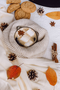 秋季和冬季作文。热咖啡与棉花糖, 围巾, 饼干, 颠簸和秋天的叶子。平躺, 顶部视图
