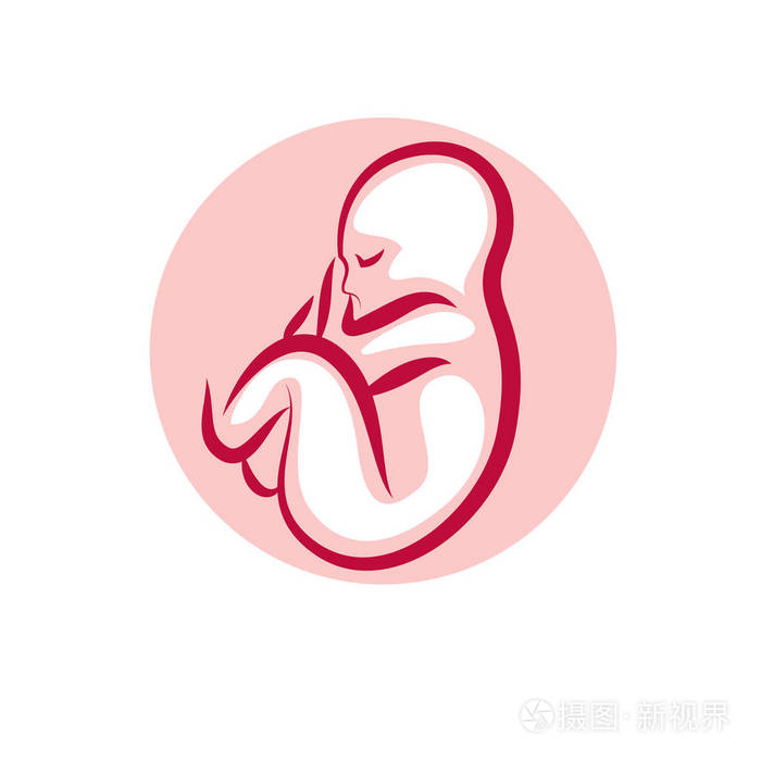 胚胎图在白色背景下分离插画-正版商用图片06tgo8-摄