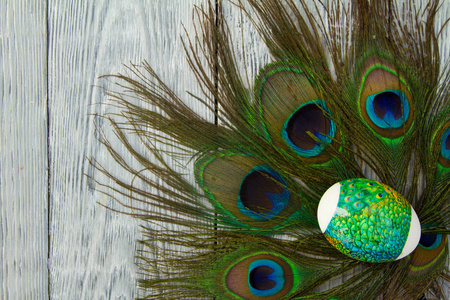 木蓝色背景的孔雀羽毛与复制空间