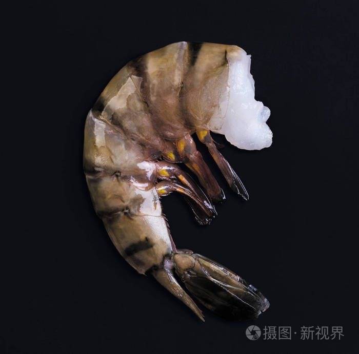 黑色背景黑虎虾