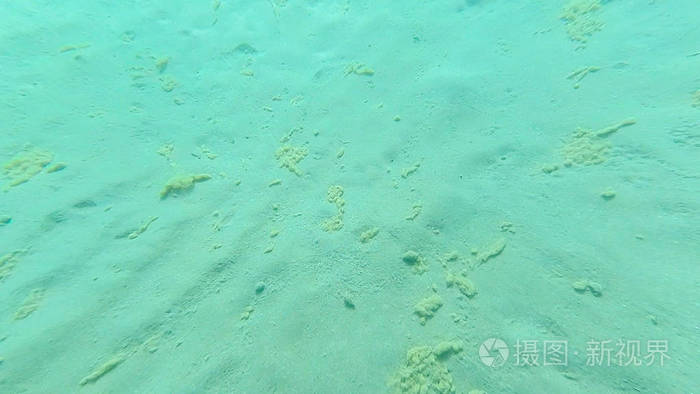 夏季黑海海底沙滩照片