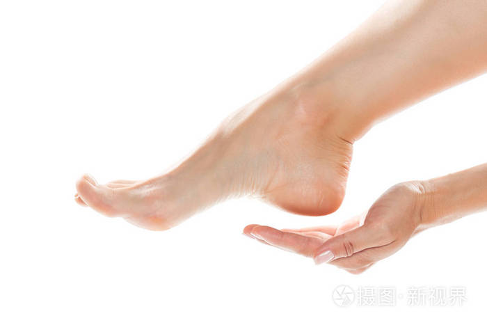 美丽的女性脚和手被隔绝在白色背景上