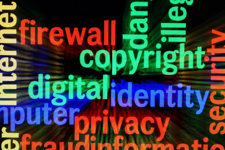 版权标识隐私