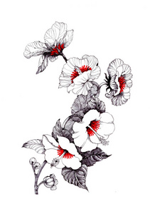 手绘水彩野花