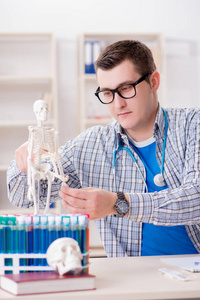 医学院校学生在课堂上学习骨架的研究