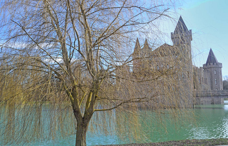 春天的风景与一棵枝繁叶茂树在水和城堡附近