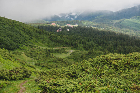 美丽的山风景在. 野生自然