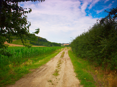 道路