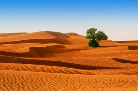 北非沙漠 沙地 barkhans