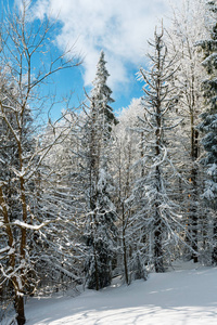 冬天山下雪的风景