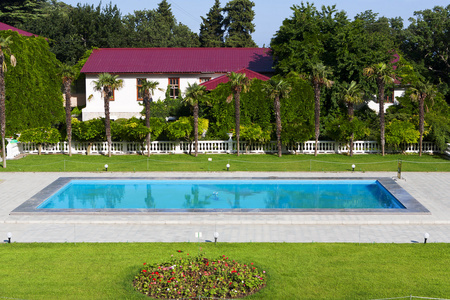 地中海带游泳池的豪宅
