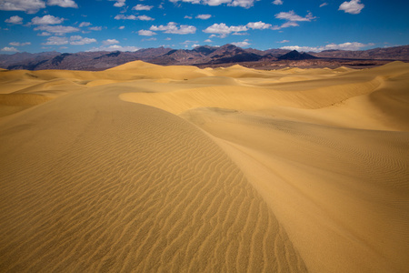 死亡谷国家公园的豆科灌木的沙丘沙漠
